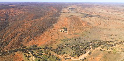 Ravendale Station - Mutawinji NP - NSW T (PBH4 00 8956)